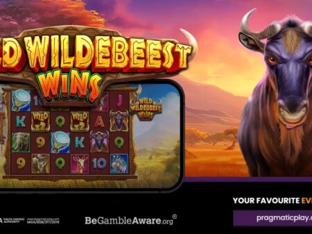 Pragmatic Play, Wildebeest Wins ile Vahşi Doğada